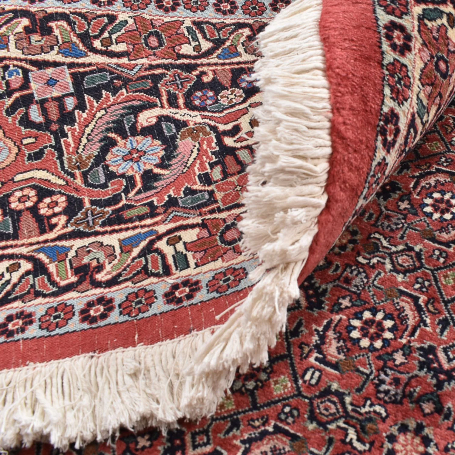 Bidjar Teppich 300x300cm - Perserteppich - Image 4