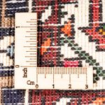 Gholtogh Teppich 149x100cm - Perserteppich - Image 6