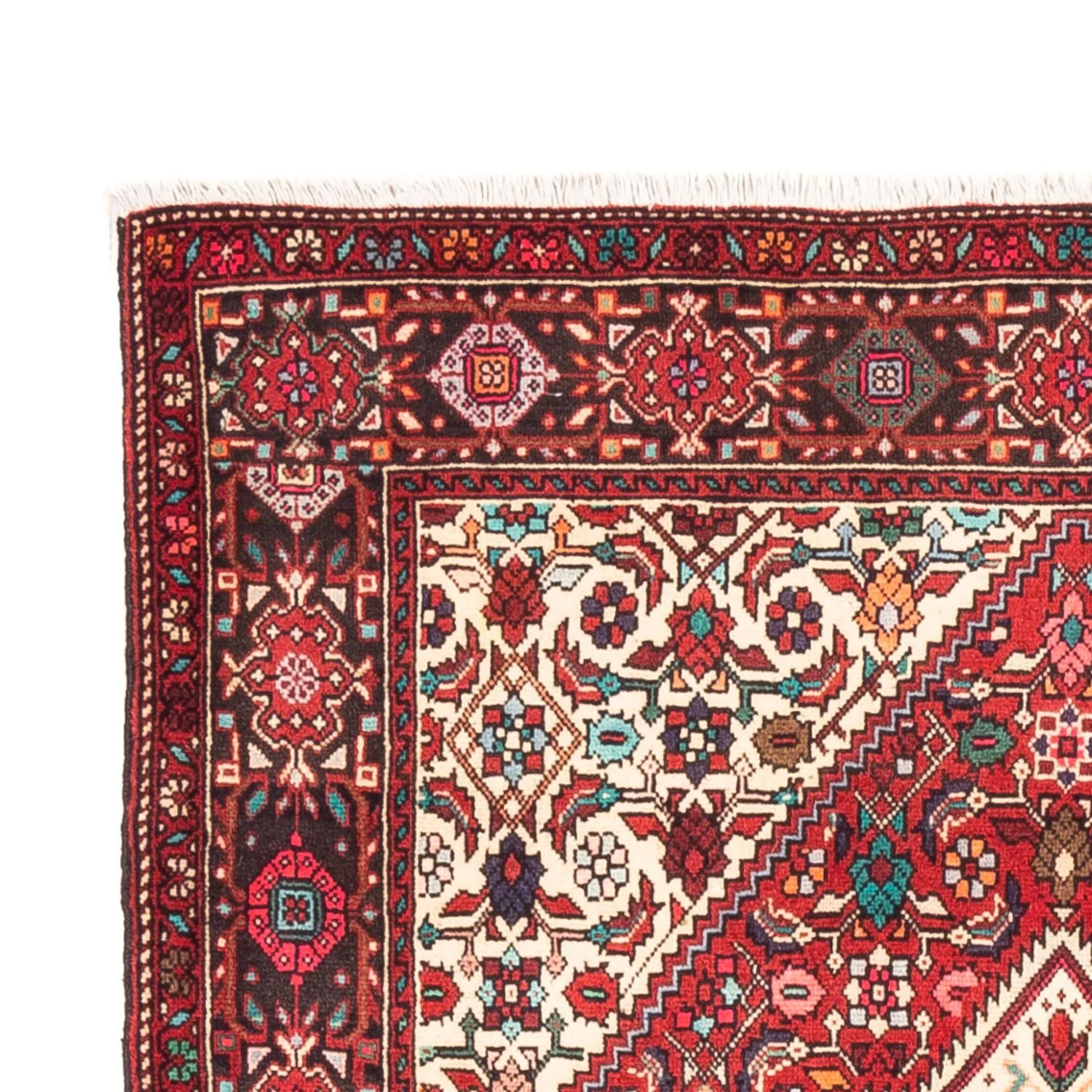 Gholtogh Teppich 152x102cm - Perserteppich - Image 3