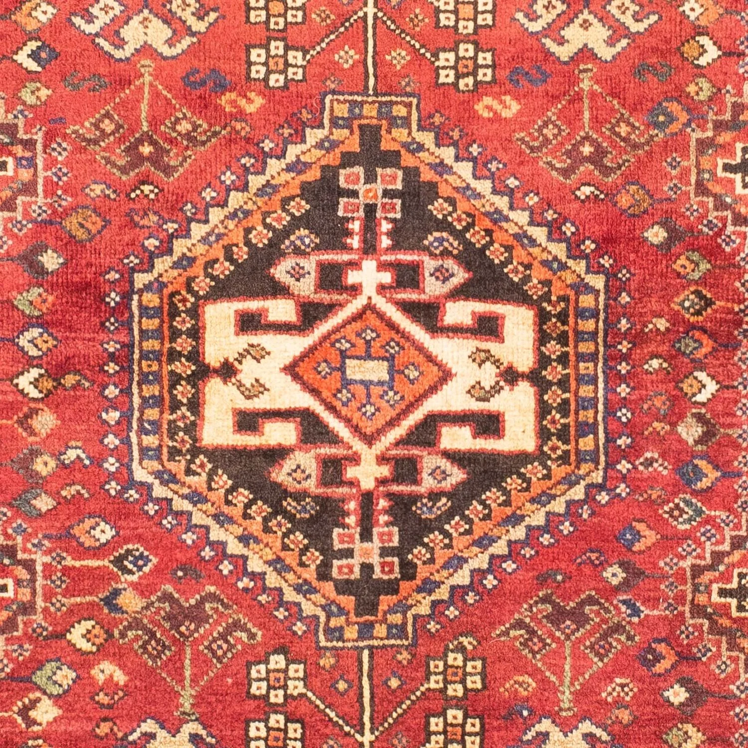 Shiraz Teppich 153x106cm - Perserteppich - Image 2