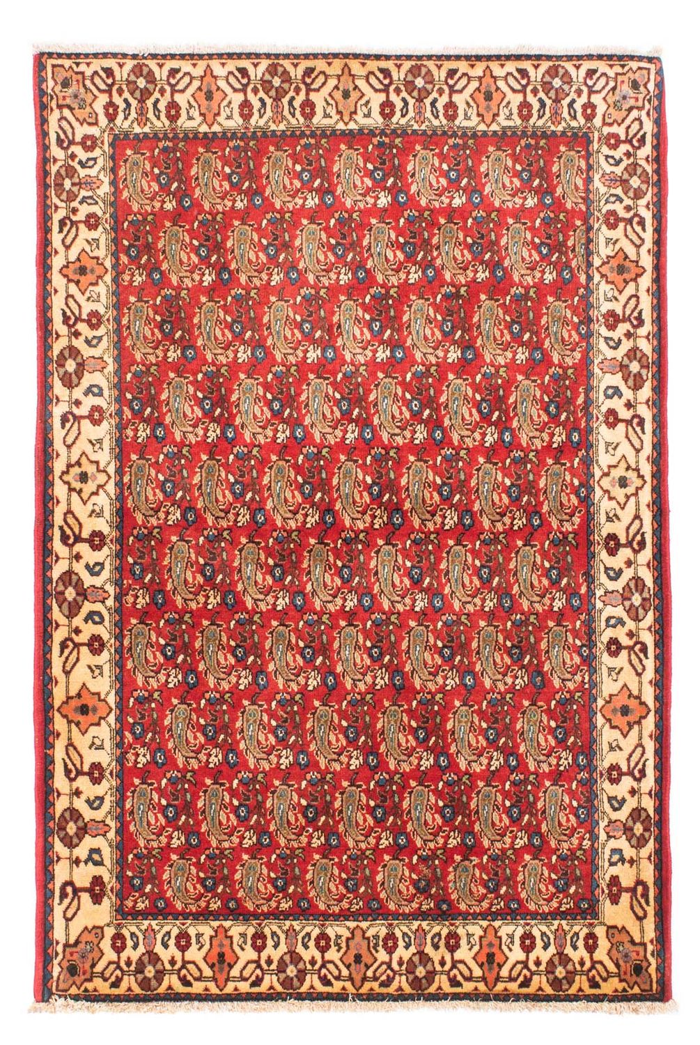 Shiraz Teppich 160x110cm - Perserteppich