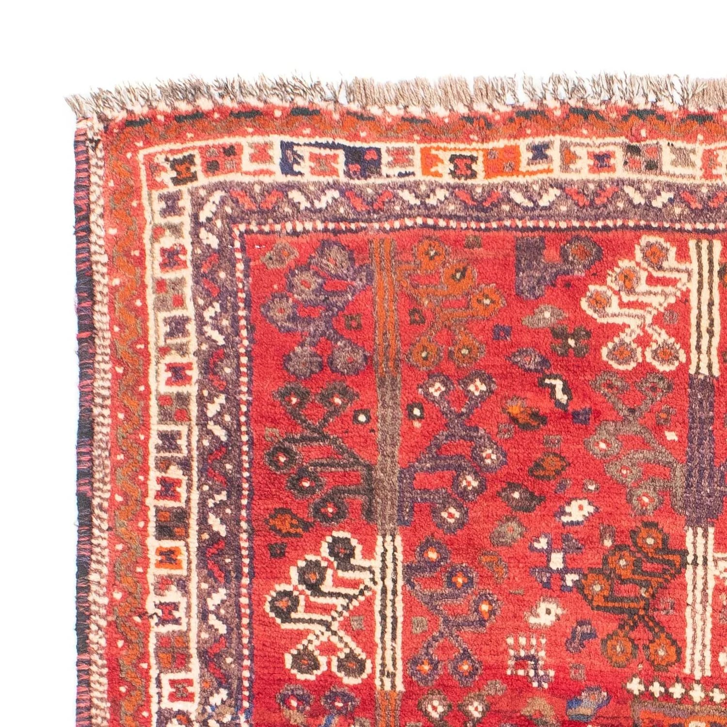 Shiraz Teppich 162x110cm - Perserteppich - Image 3