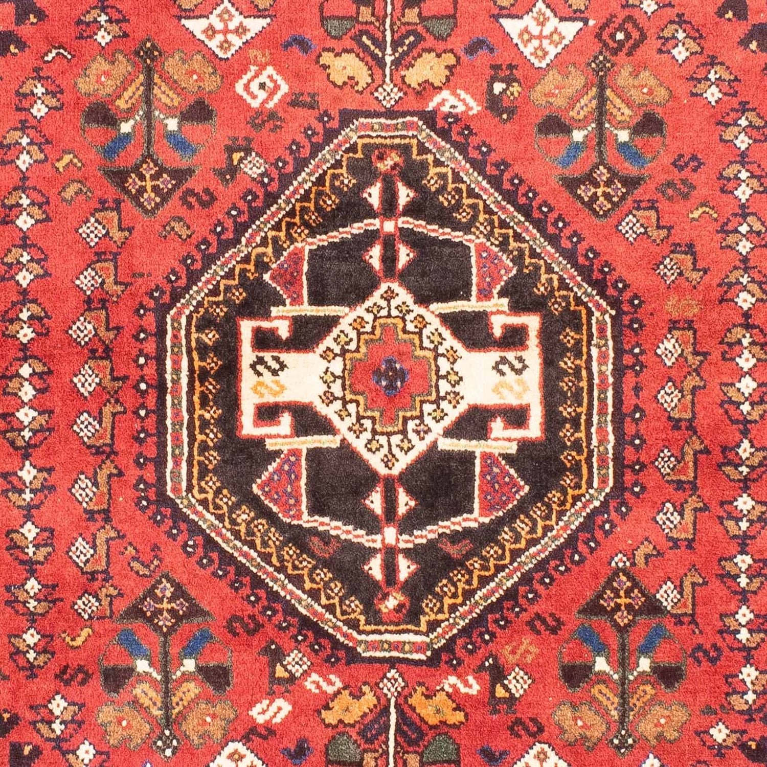 Shiraz Teppich 166x110cm - Perserteppich - Image 2