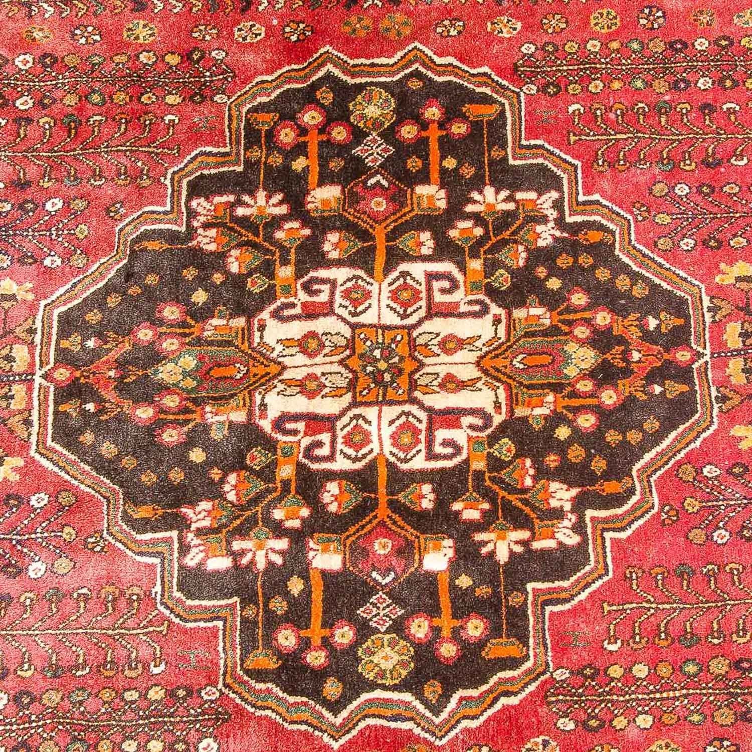 Ghashghai Teppich 253x161cm - Perserteppich - Image 2