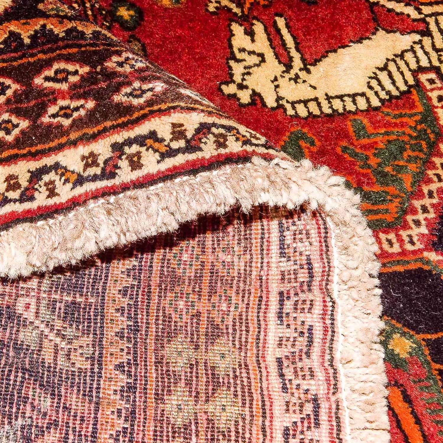 Ghashghai Teppich 253x161cm - Perserteppich - Image 4