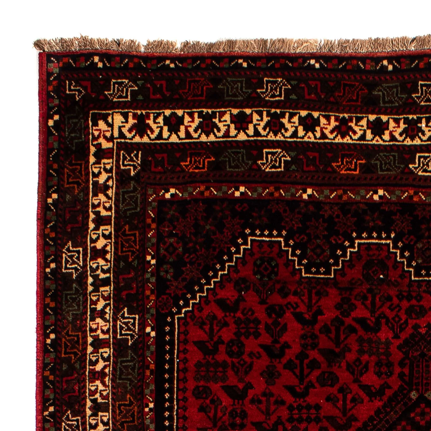 Shiraz Teppich 295x200cm - Perserteppich - Image 3