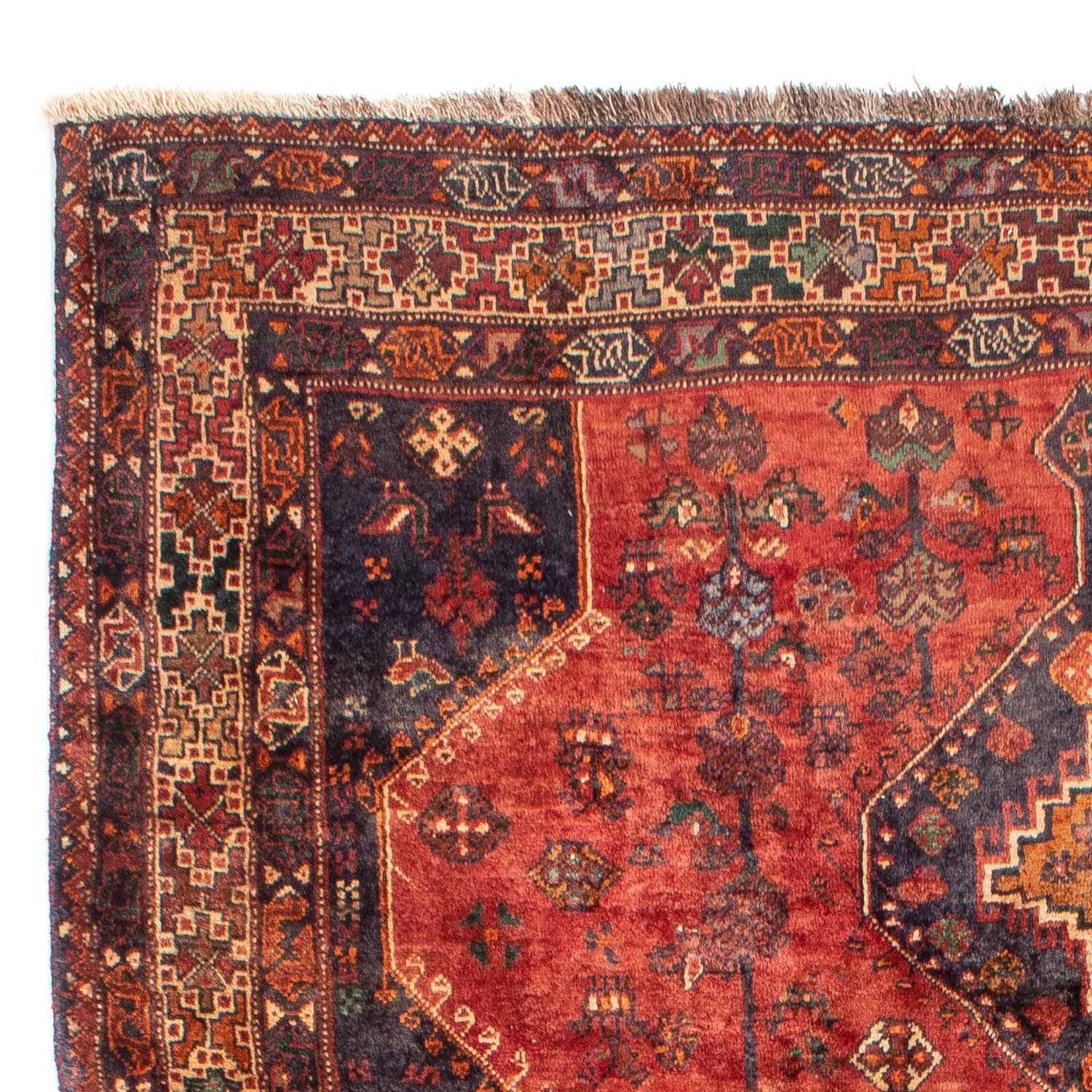 Perserteppich - Nomadic 306 x 212 cm - rot - Image 3