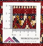 Turkaman Teppich 100x50cm - Orientteppich - Image 6