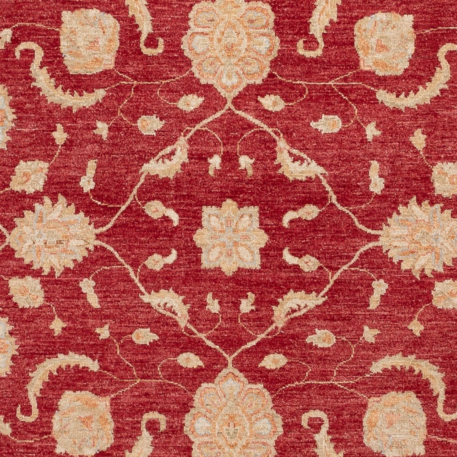 Ziegler Teppich 294x250cm - Orientteppich - Image 2