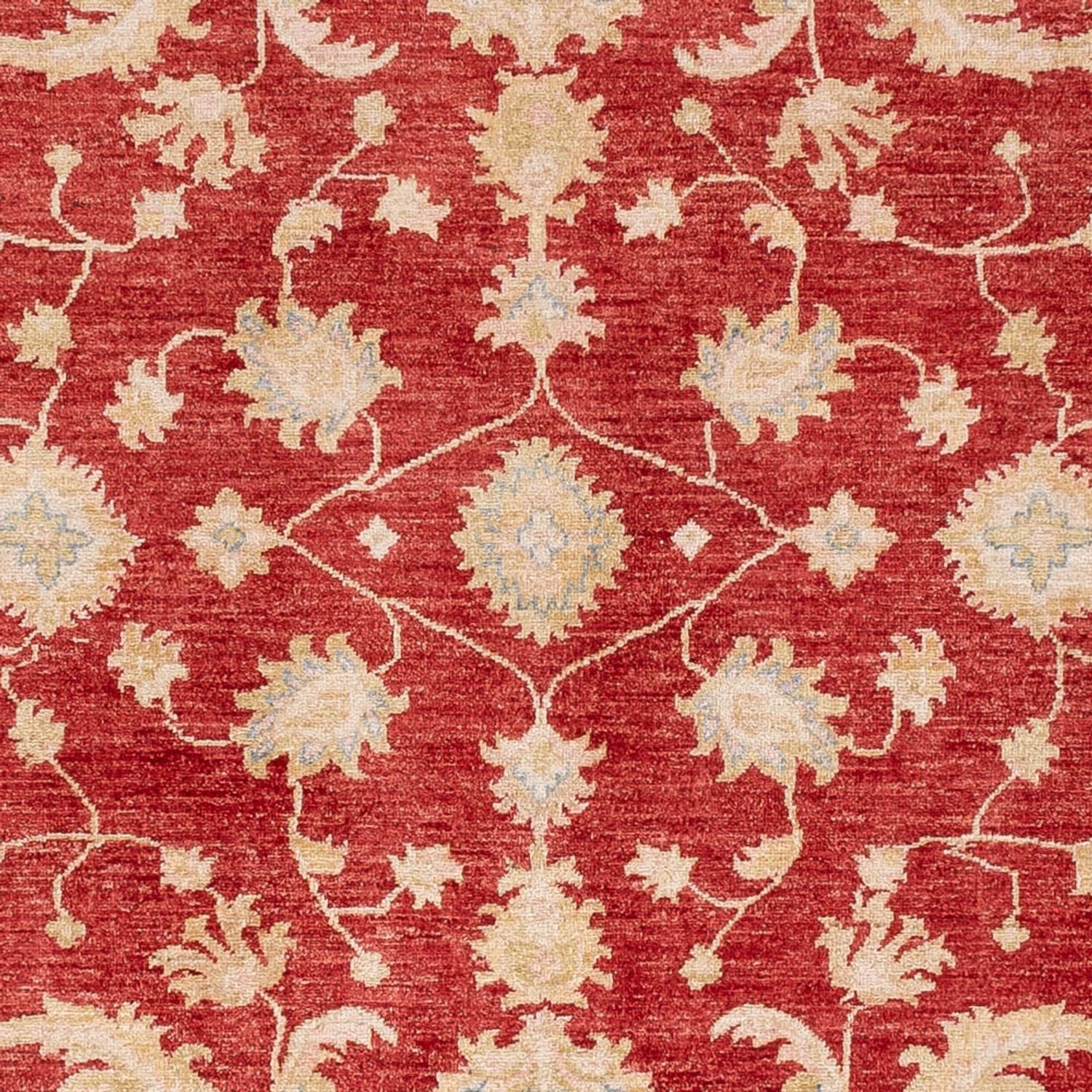 Ziegler Teppich - 294 x 253 cm - rot - Image 2