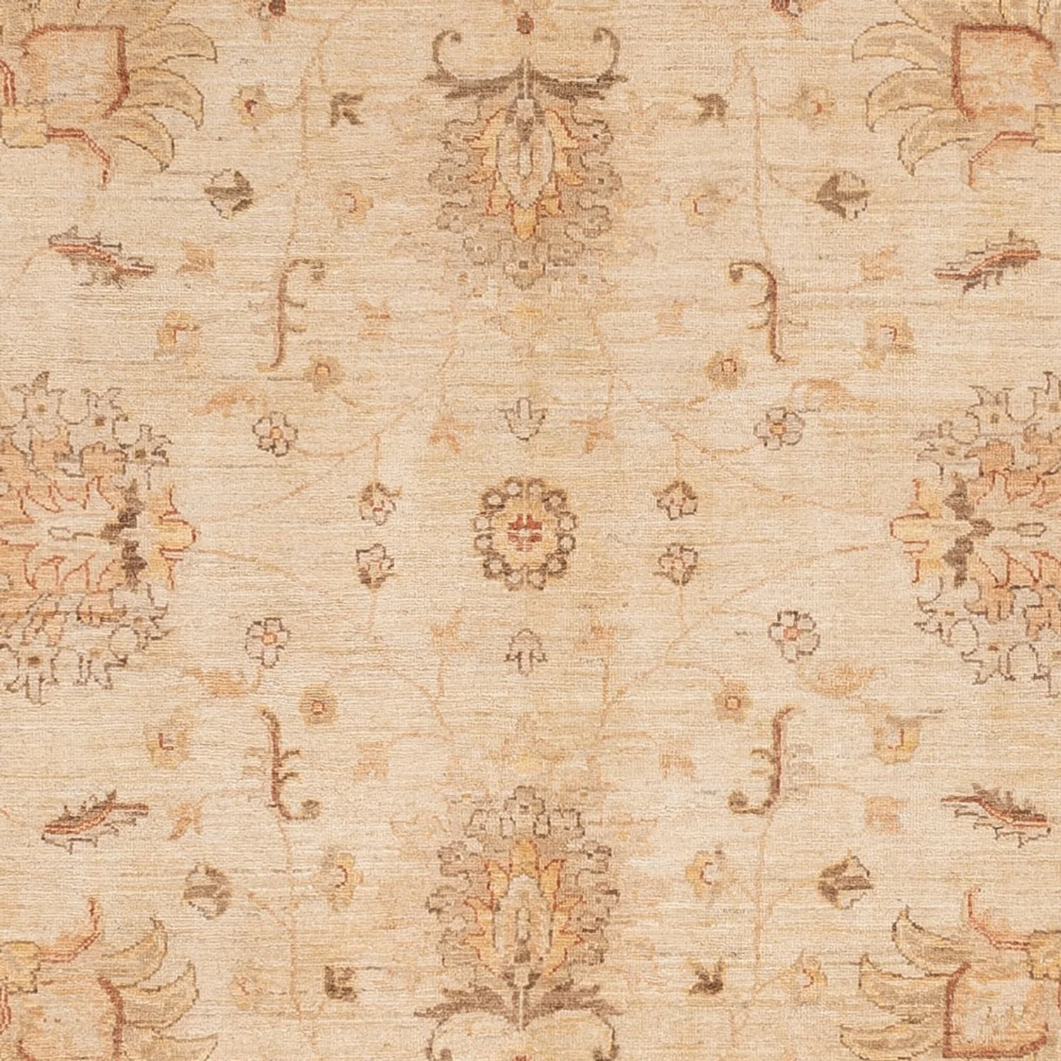 Ziegler Teppich 298x241cm - Orientteppich - Image 2