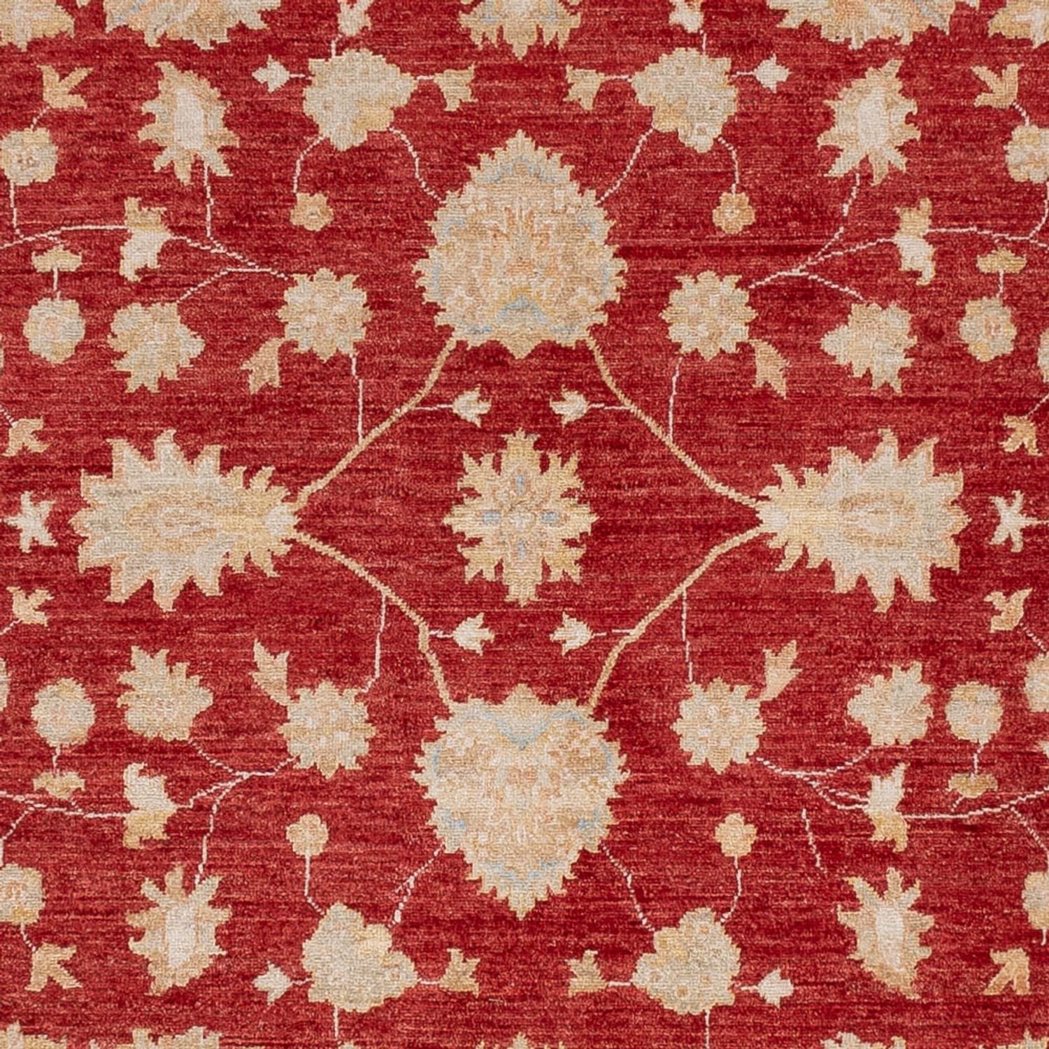 Ziegler Teppich 299x247cm - Orientteppich - Image 2