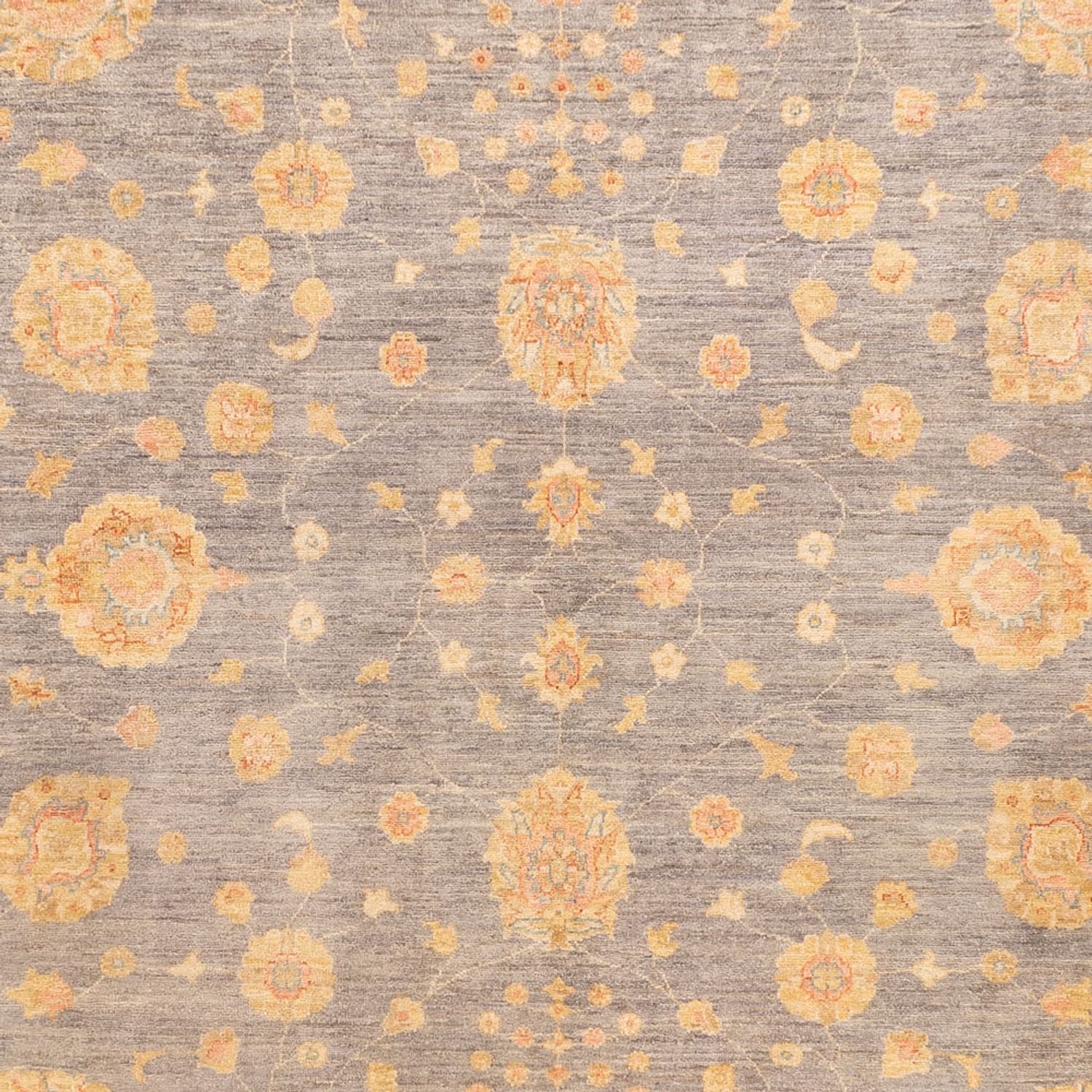 Ziegler Teppich - 344 x 255 cm - dunkelbeige - Image 2