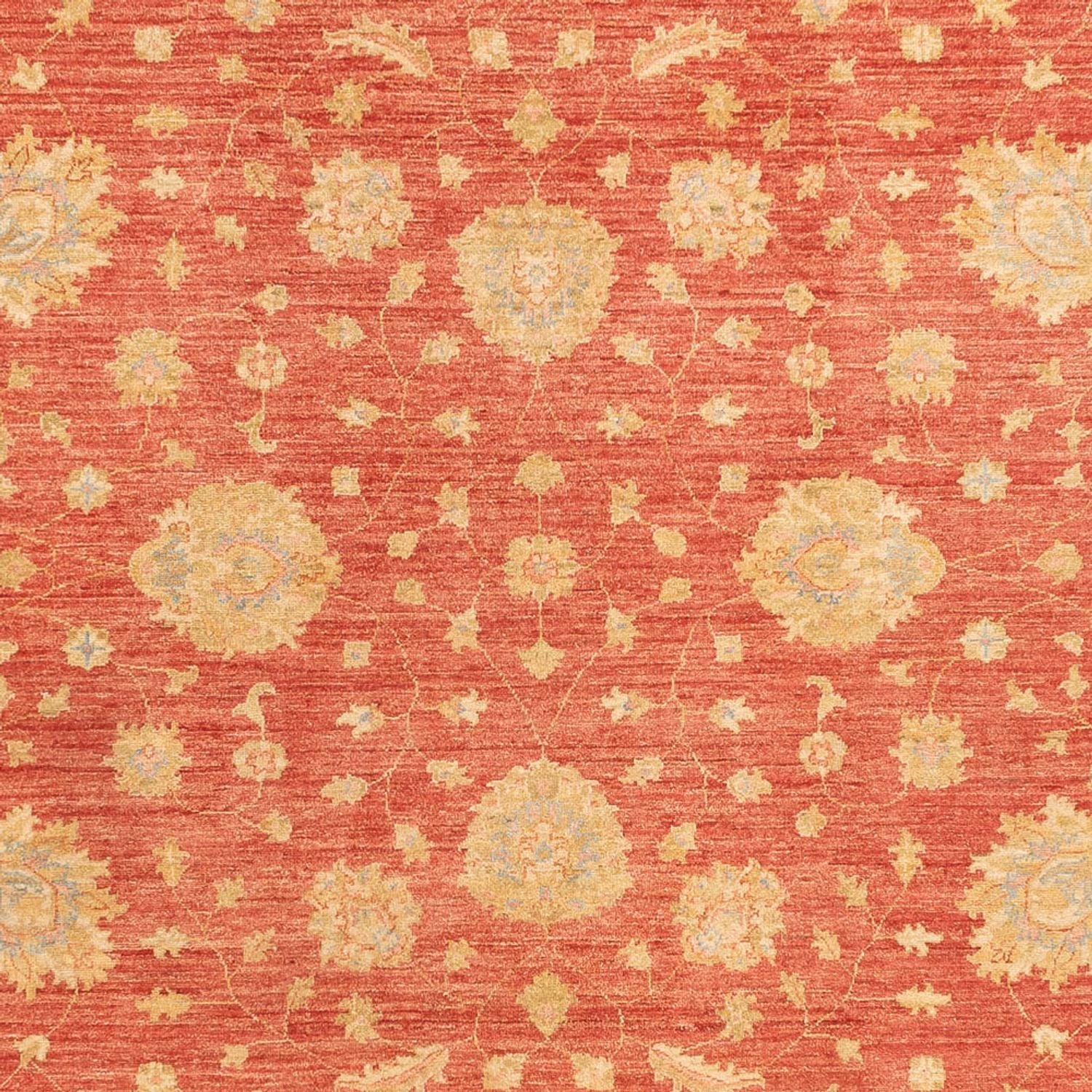Ziegler Teppich - 344 x 257 cm - rot - Image 2