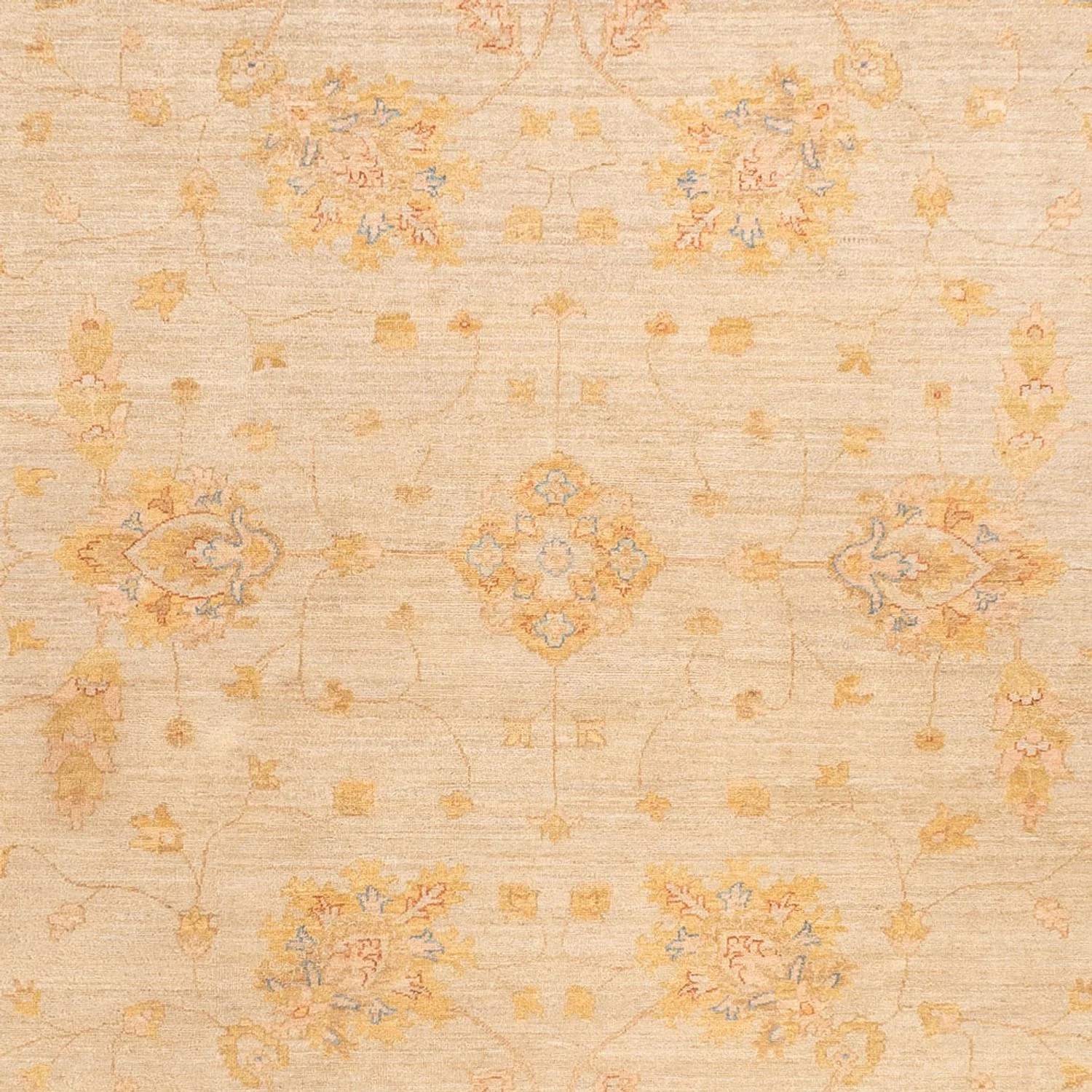 Ziegler Teppich - 348 x 255 cm - beige - Image 2