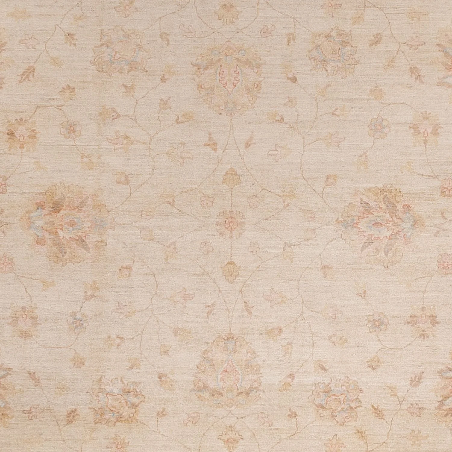 Ziegler Teppich 487x301cm - Orientteppich - Image 2