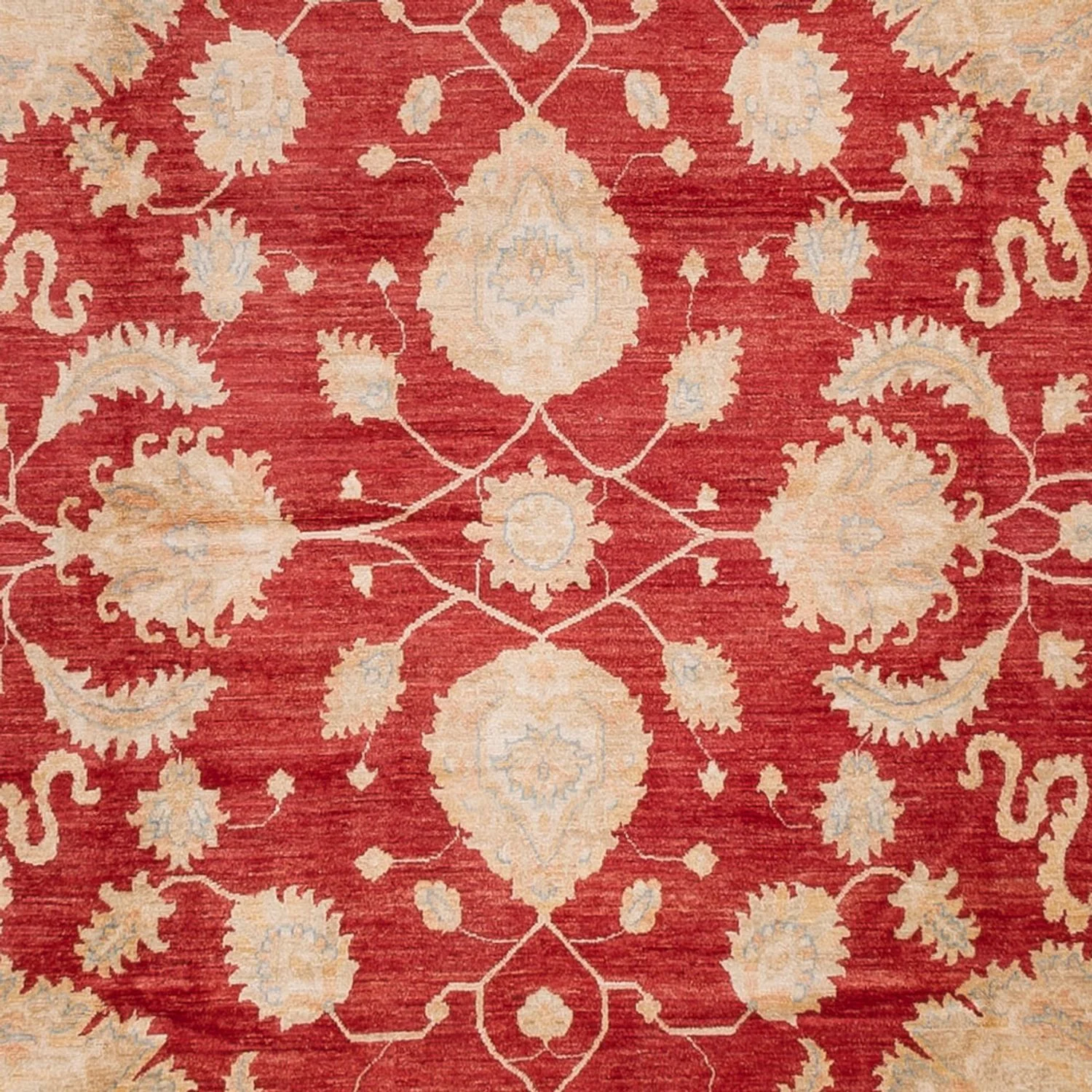 Ziegler Teppich 540x352cm - Orientteppich - Image 2