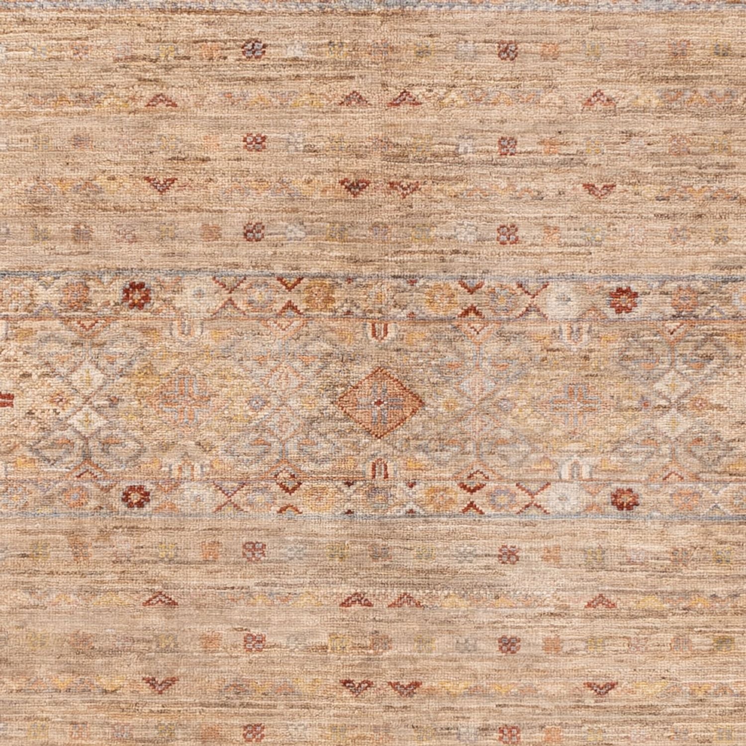 Ziegler Teppich - Ariana - 245 x 173 cm - beige - Image 2