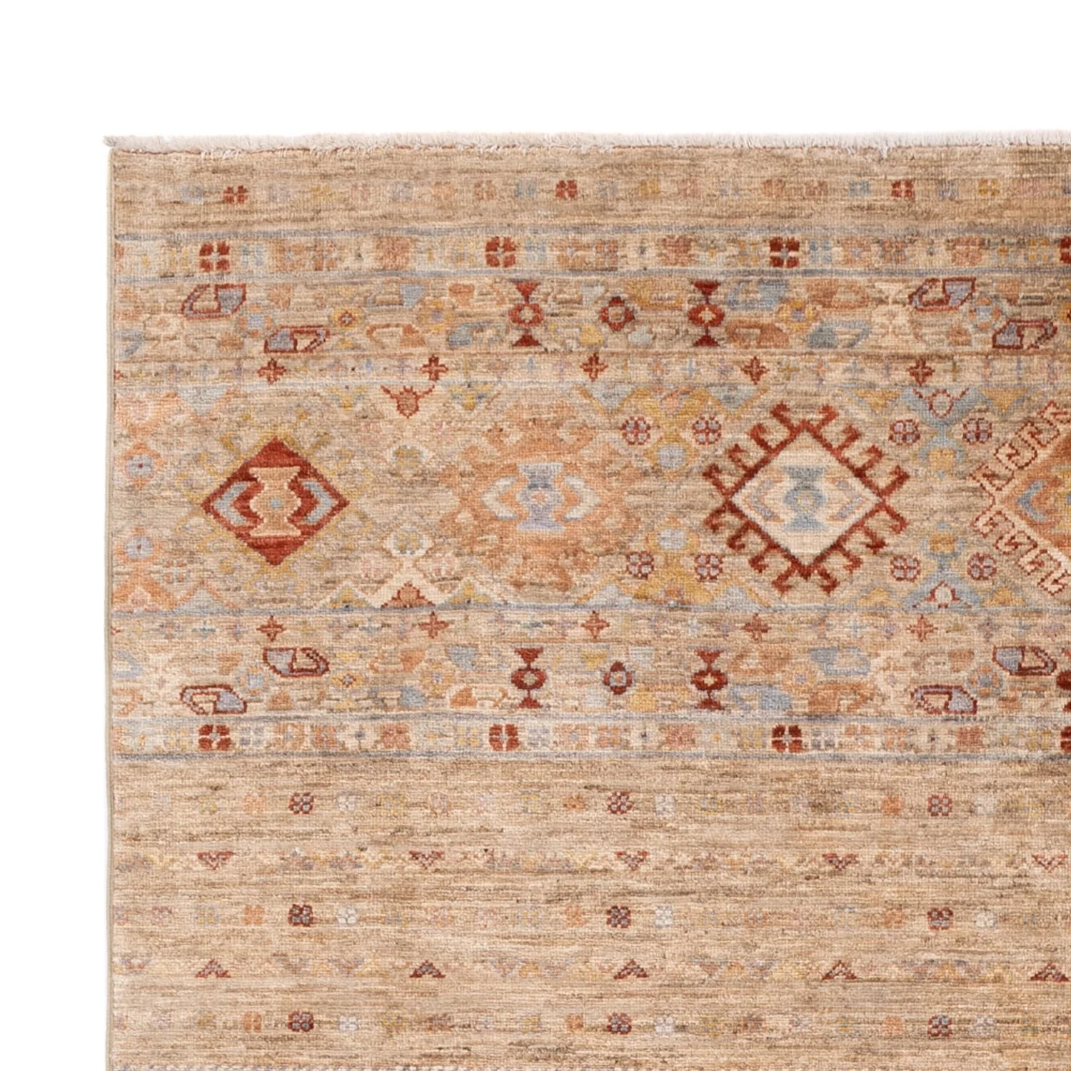 Ziegler Teppich - Ariana - 245 x 173 cm - beige - Image 3