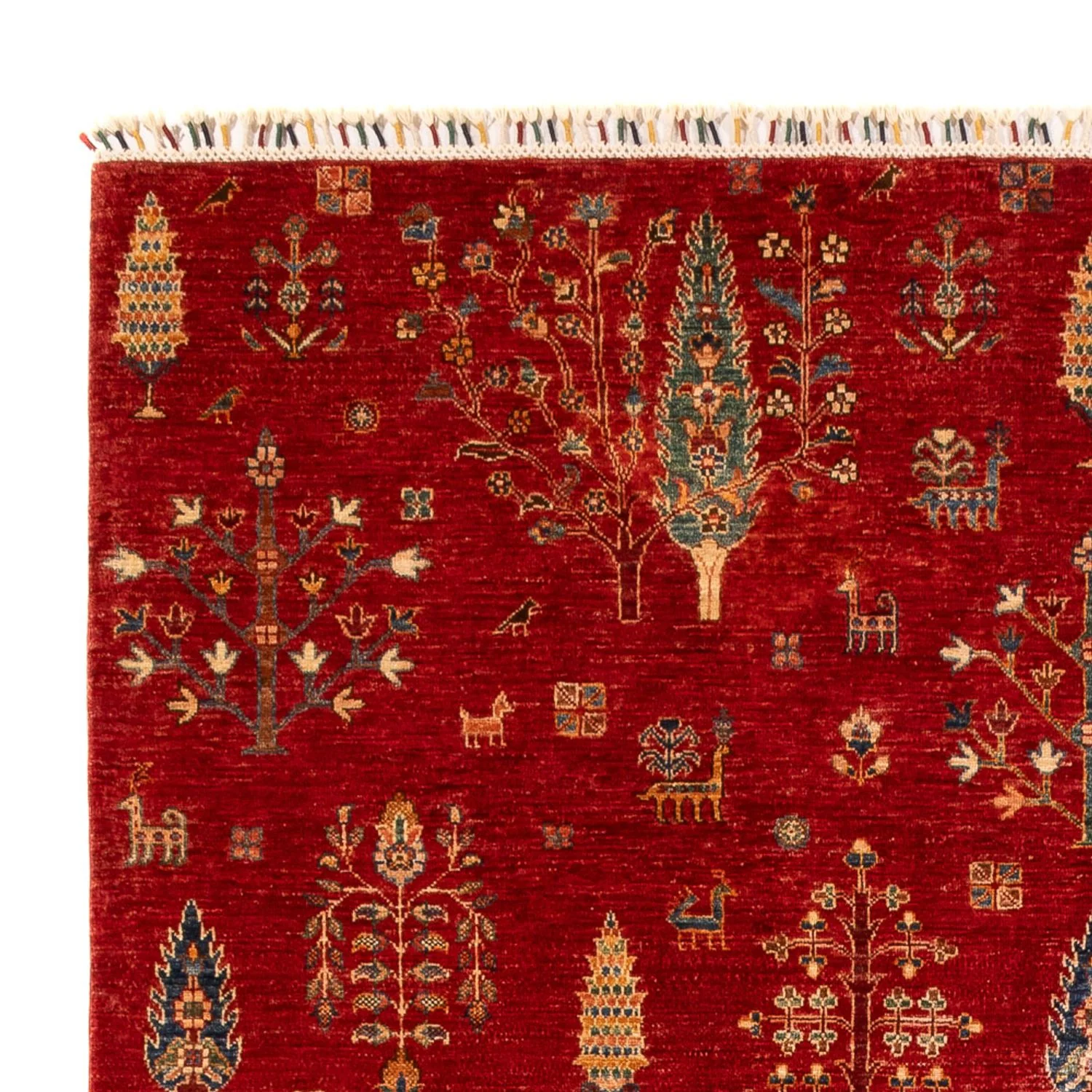 Ziegler Teppich - Ariana - 300 x 206 cm - rot - Image 3