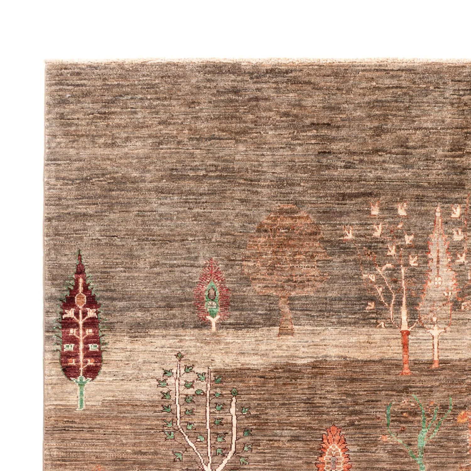 Ziegler Teppich - Ariana - 303 x 208 cm - beige - Image 3