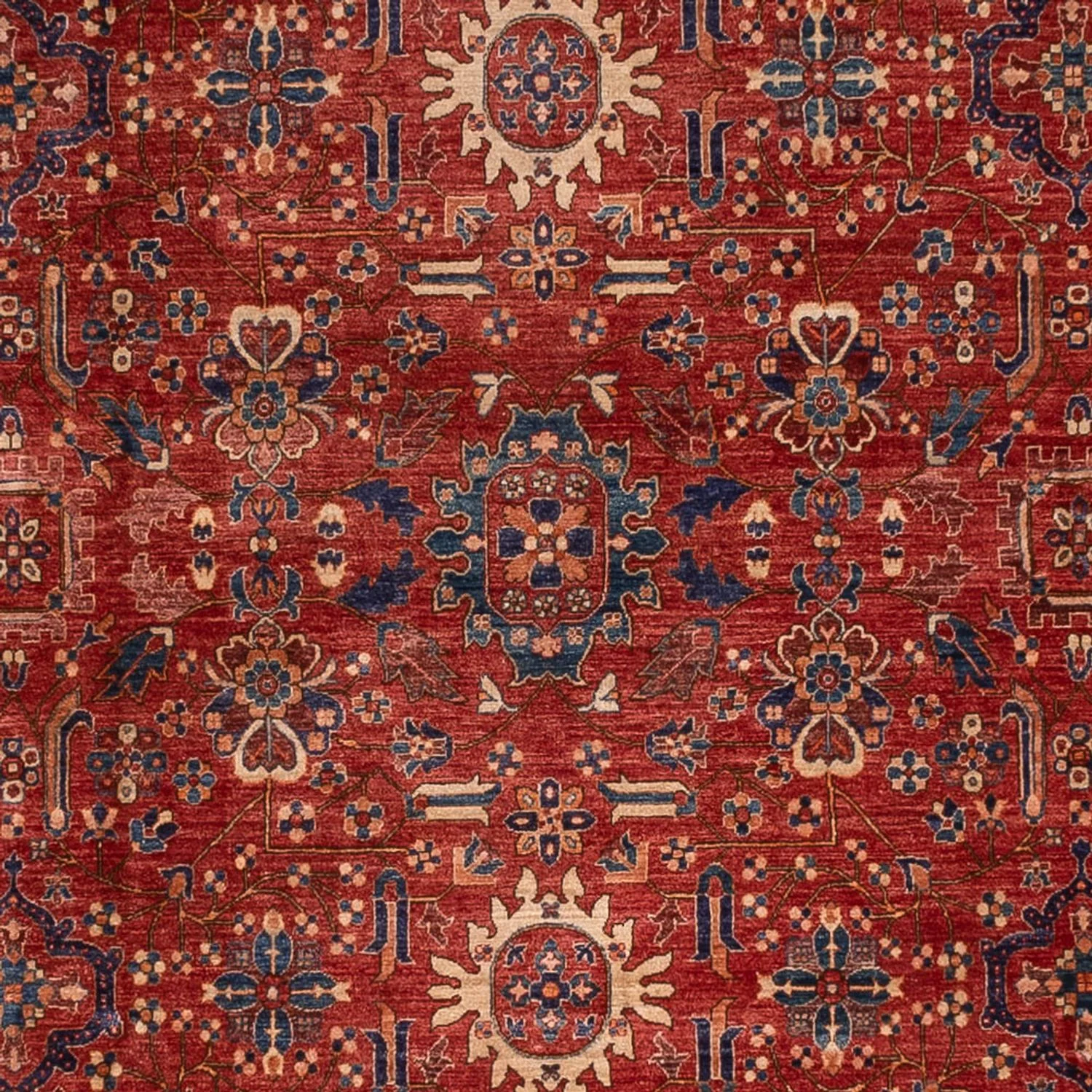 Ziegler Teppich - Ariana - 458 x 362 cm - rot - Image 2